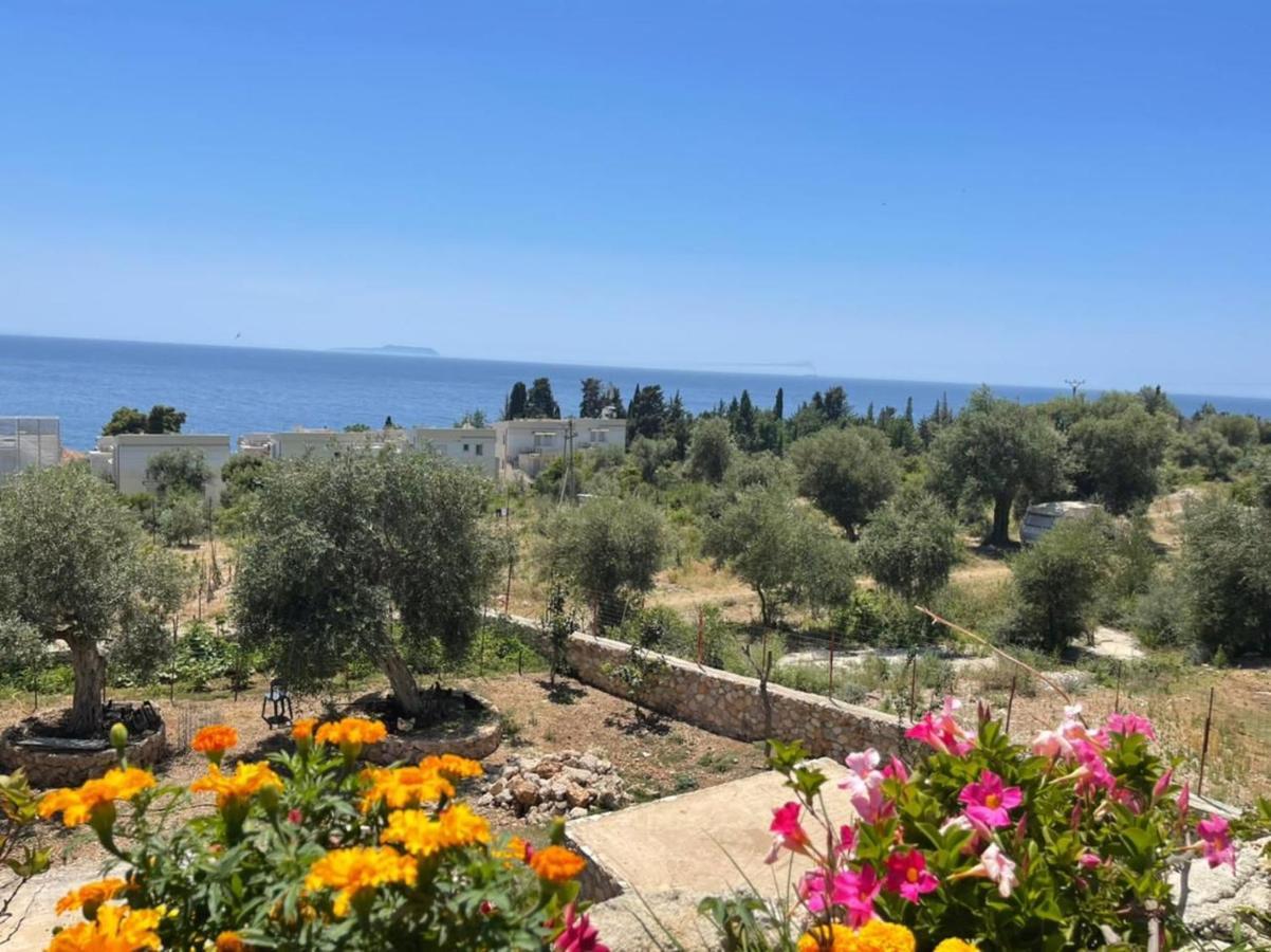 Exclusive Greccia 4* Dhërmi